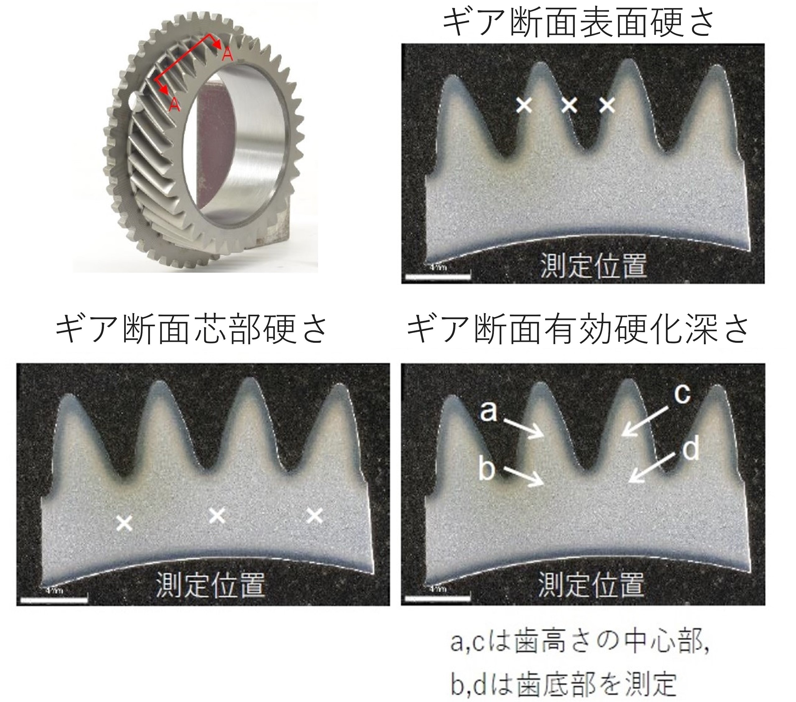 製品情報 PRODUCTS - SPOON SPORTS
